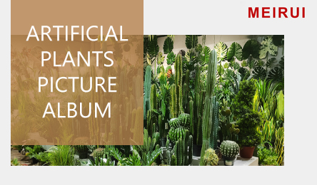 Artificial Plants Picture Album-01.jpg